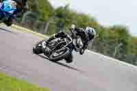 Middle Group Black Bikes